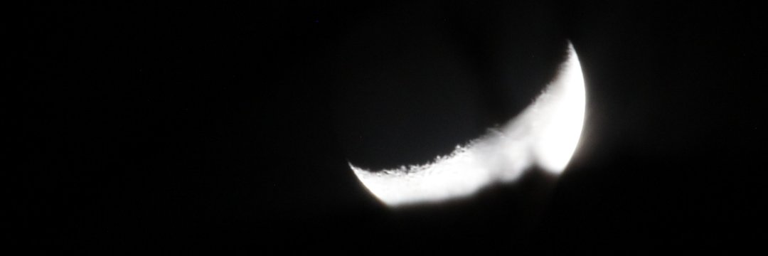 @benjaminhccarr@hachyderm.io Ph.D 👨🏻‍💻🧬🌊🐕📷 banner