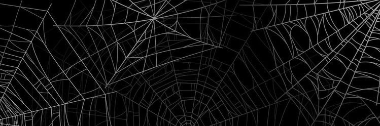 deonnamfinkle's profile banner image