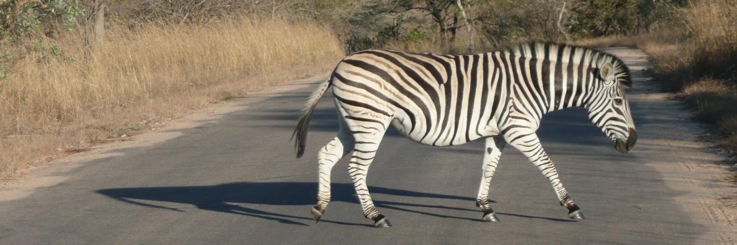 Neil Stanley 🏴󠁧󠁢󠁥󠁮󠁧󠁿 banner