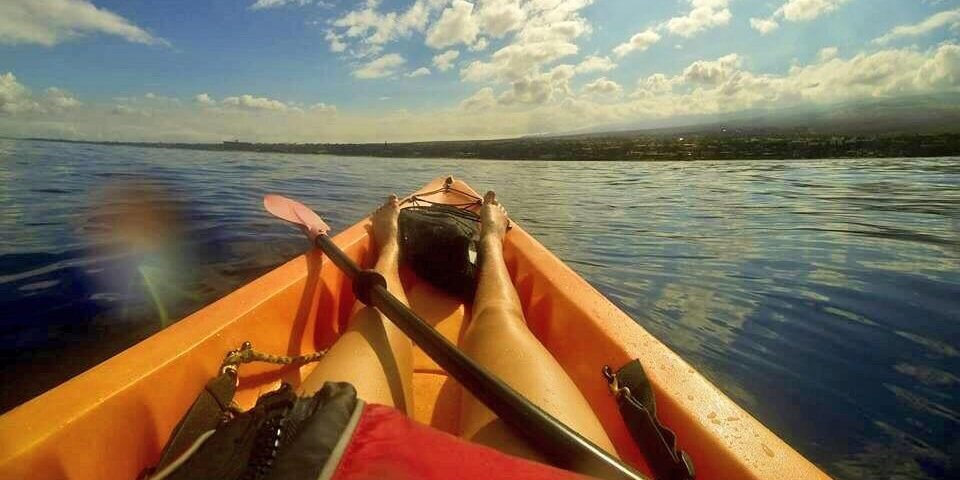 Amanda Lambert banner