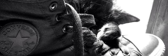 abbiedoodle1's profile banner image