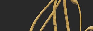 عائشه الحجيري banner