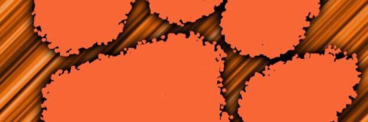 ChaseHawkins1's profile banner image