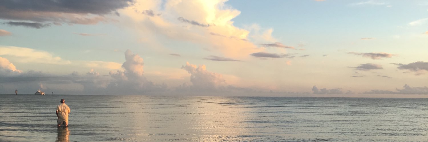 emmyrose49's profile banner image