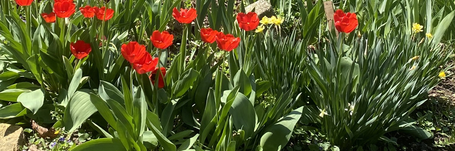 BMattox74's profile banner image