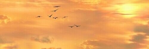 sendrickhuh47's profile banner image