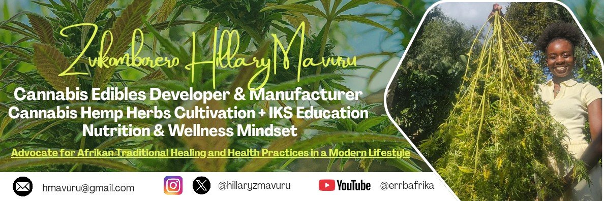 HillaryZMavuru's profile banner image