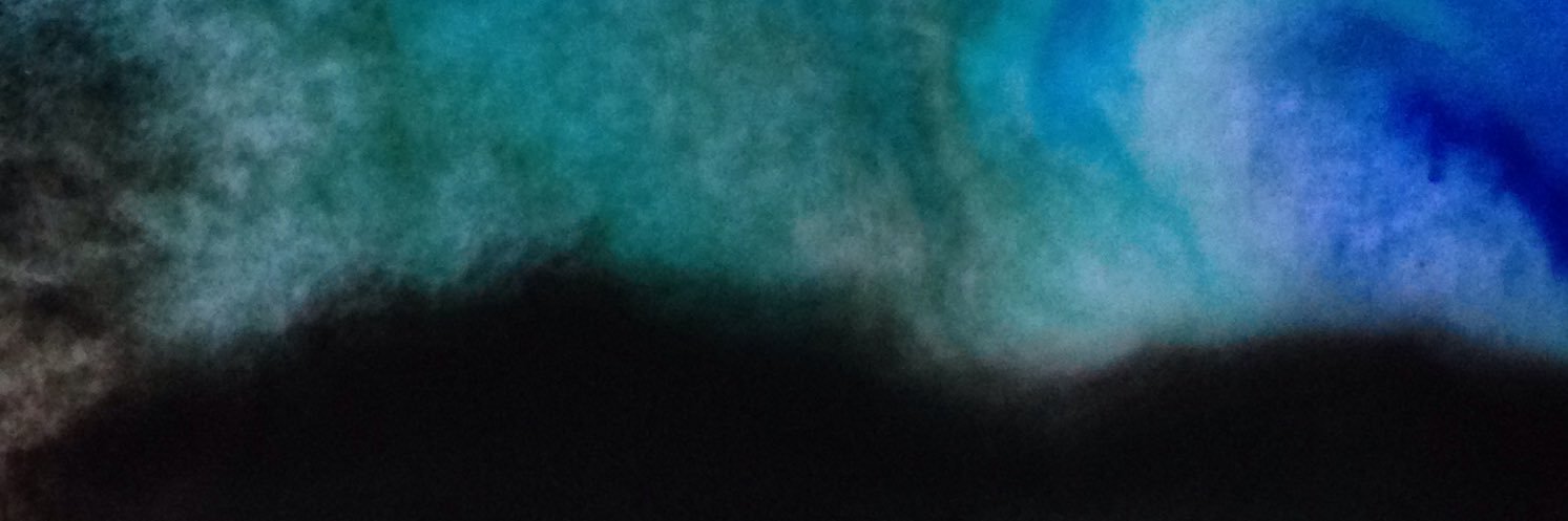 Leslie McAllister banner