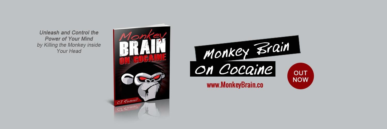 monkeybrainbook's profile banner image