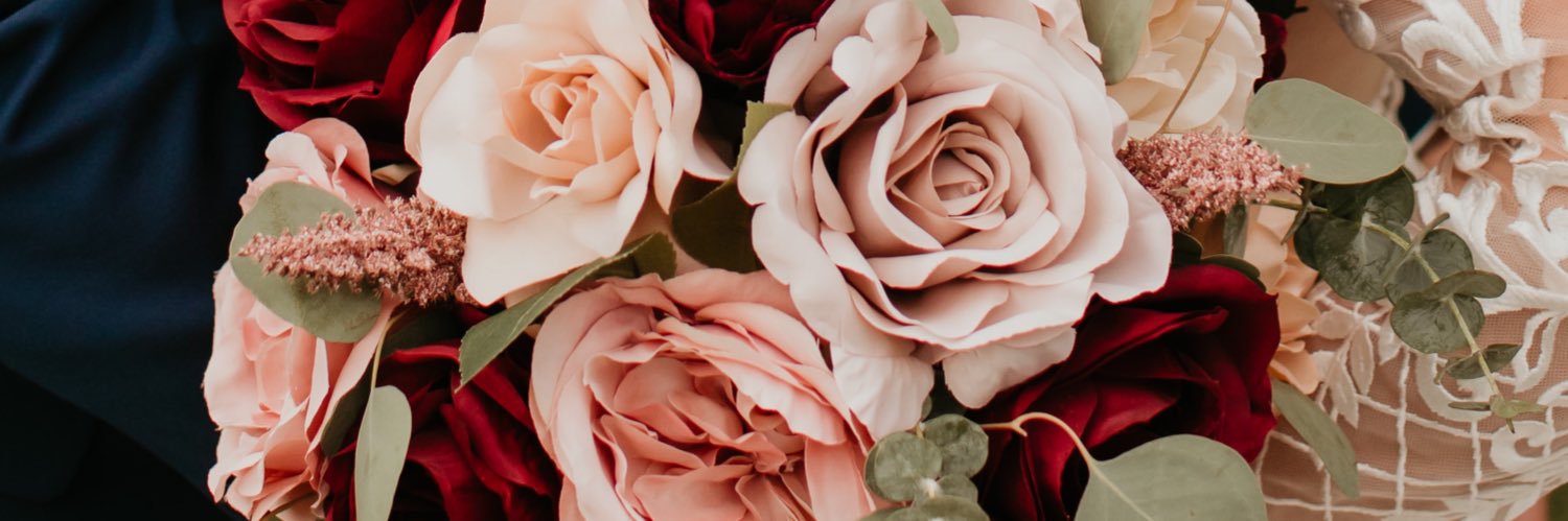 rileyrocci's profile banner image