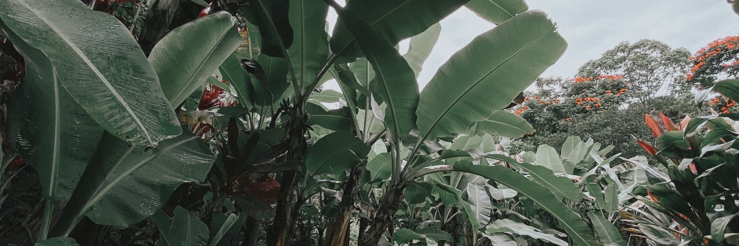 lord_ream's profile banner image