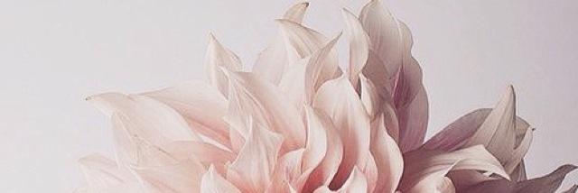 allgdrssx's profile banner image