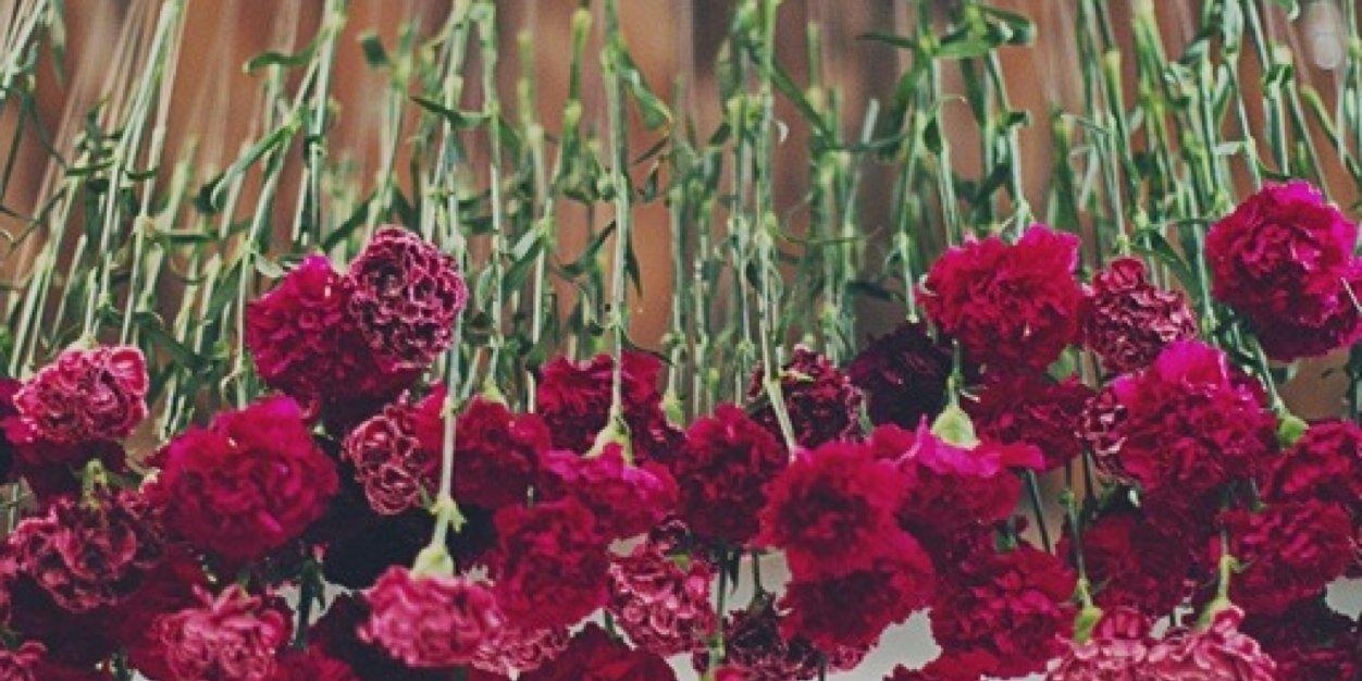 delaneyperry's profile banner image