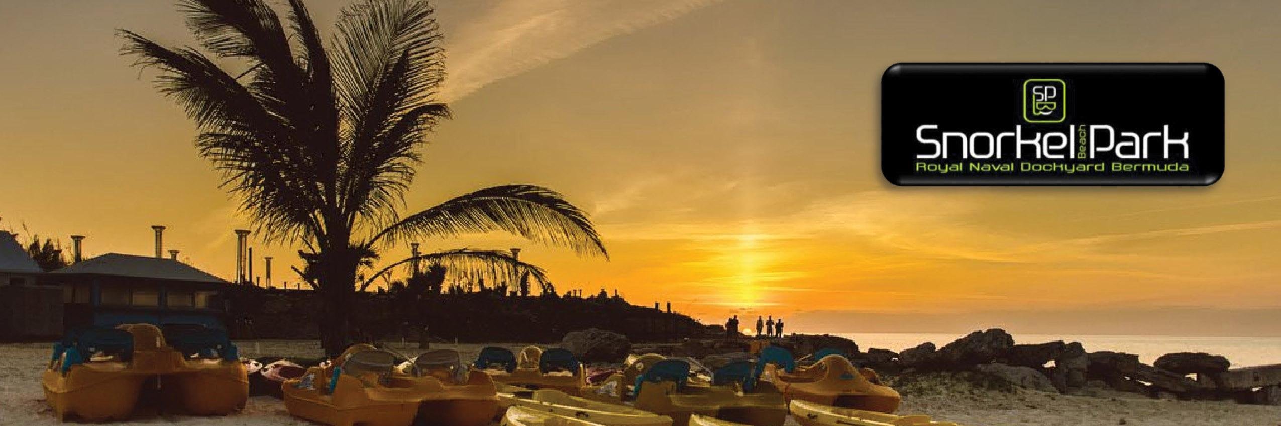 snorkelbeach's profile banner image