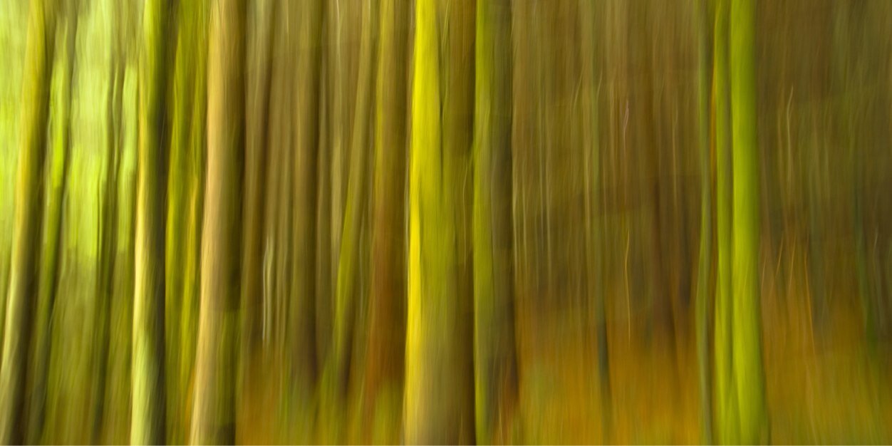 burtonash's profile banner image