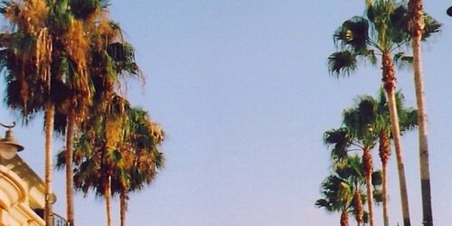 VDempseyBSR's profile banner image