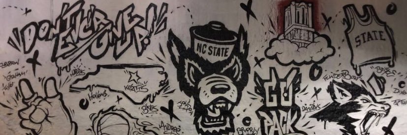 LandonNorris11's profile banner image