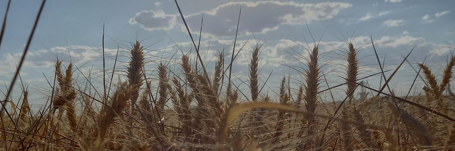 GsoyMine's profile banner image