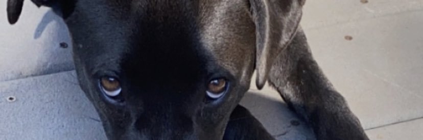 lojd6_'s profile banner image