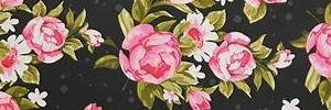 lizzy_mcelroy's profile banner image