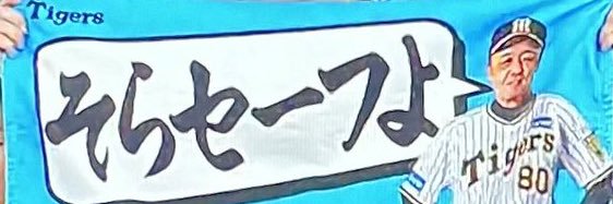 ireLandHau's profile banner image
