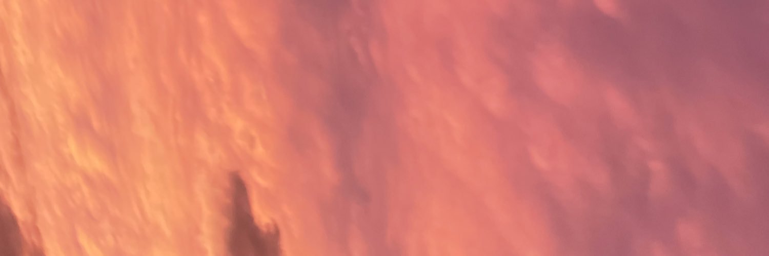 sensei steve banner