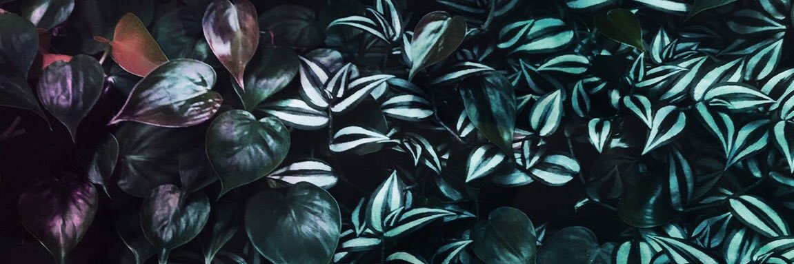 meldapek's profile banner image
