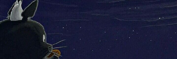 volkanaytan's profile banner image