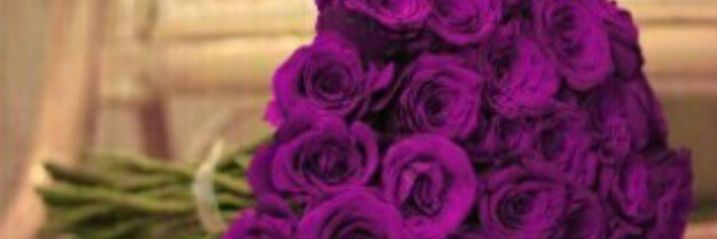 hanoo_88's profile banner image