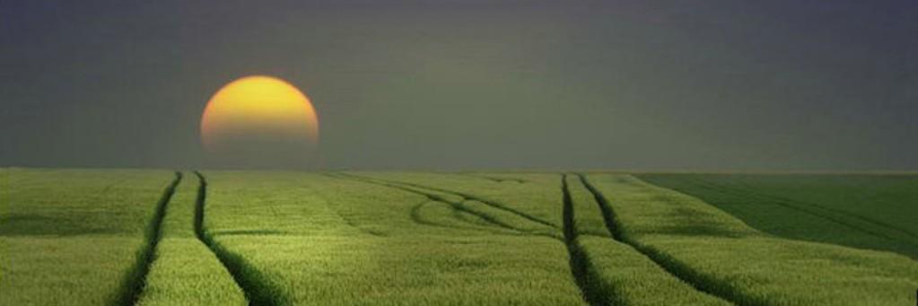 SloutM's profile banner image