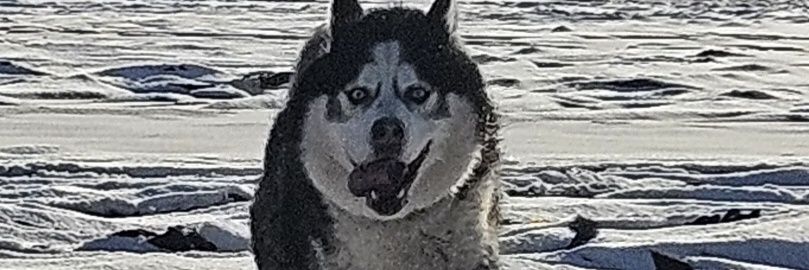 marcboesten's profile banner image