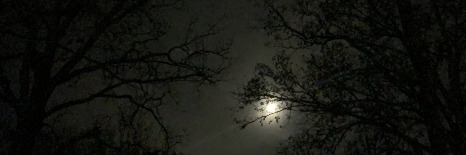 loraallisonn's profile banner image