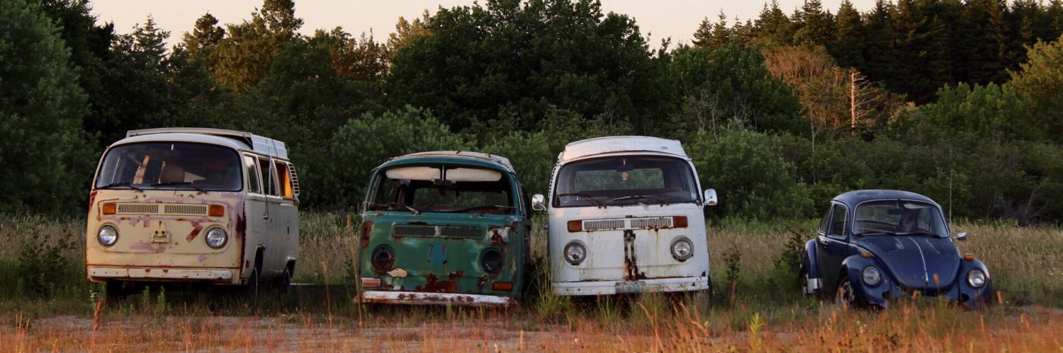 Rachelle Robicheau banner