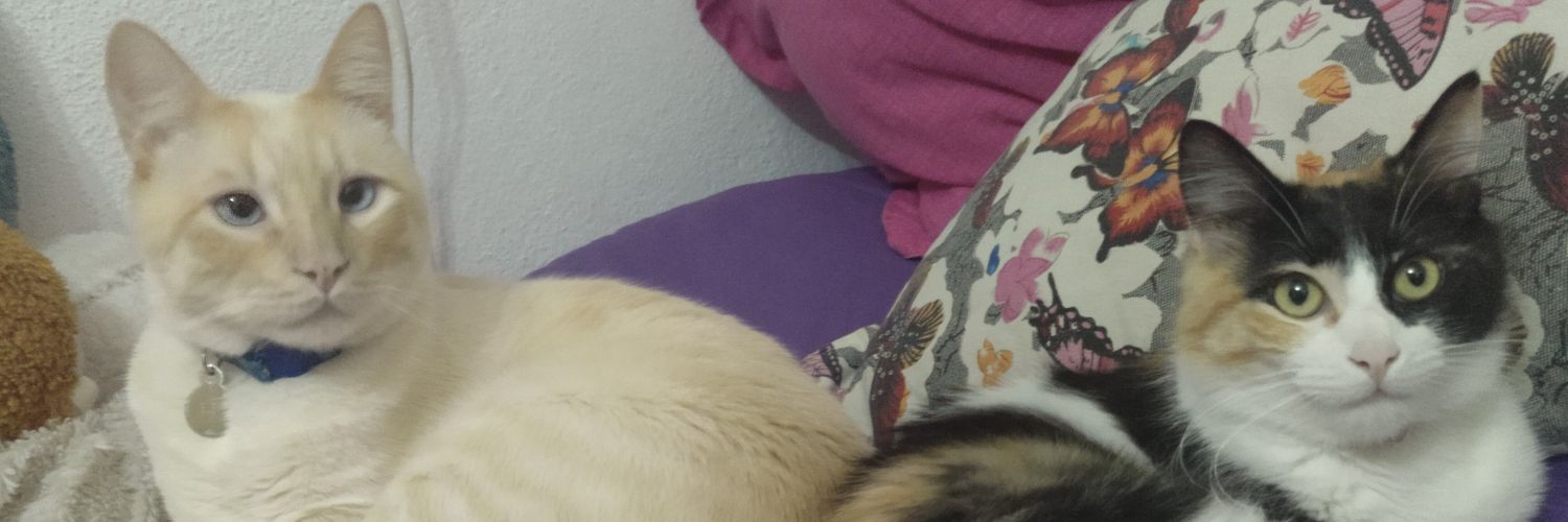 sulu20's profile banner image