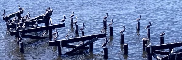 Chaleck Profile Banner