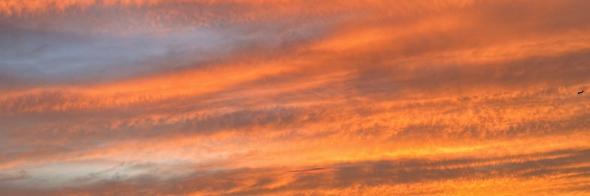 MariaFZamc's profile banner image