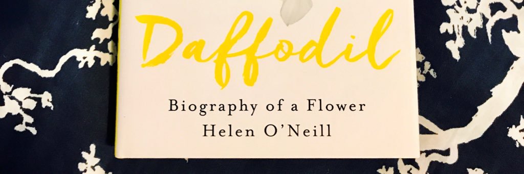 helenoneill's profile banner image