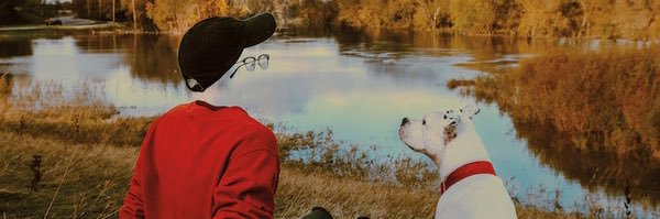 FLAMOCTAPUS's profile banner image