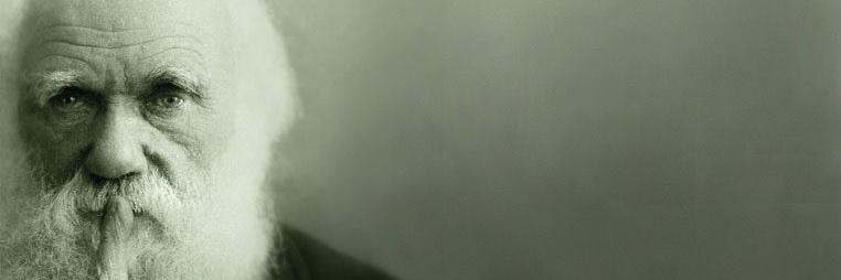 jimerick62's profile banner image