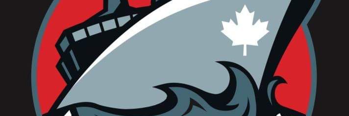 Victoria Minor Hockey Association banner