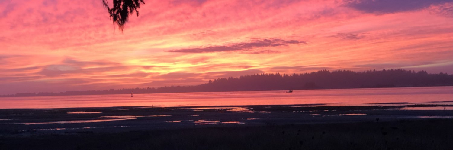 emilynicksbar's profile banner image