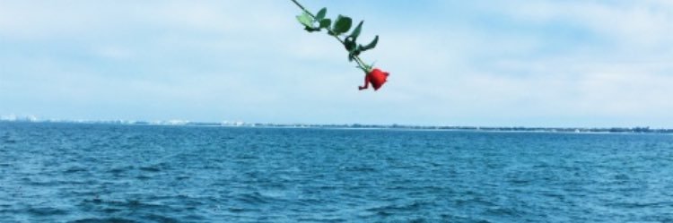 RickyHippy's profile banner image