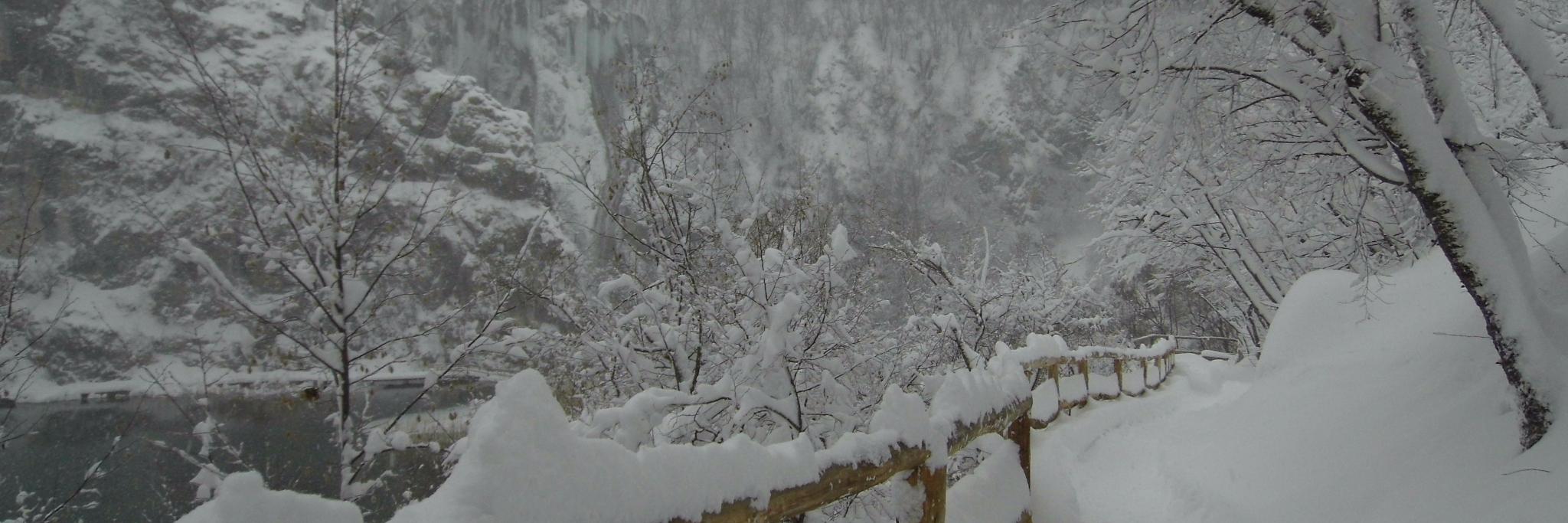 Amber 🏳️‍🌈 (she/her) banner