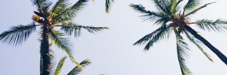 aubreywillliams's profile banner image