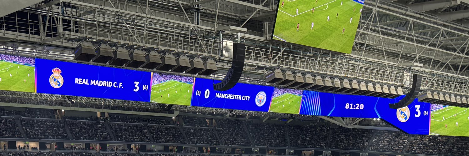 lion🦁 banner