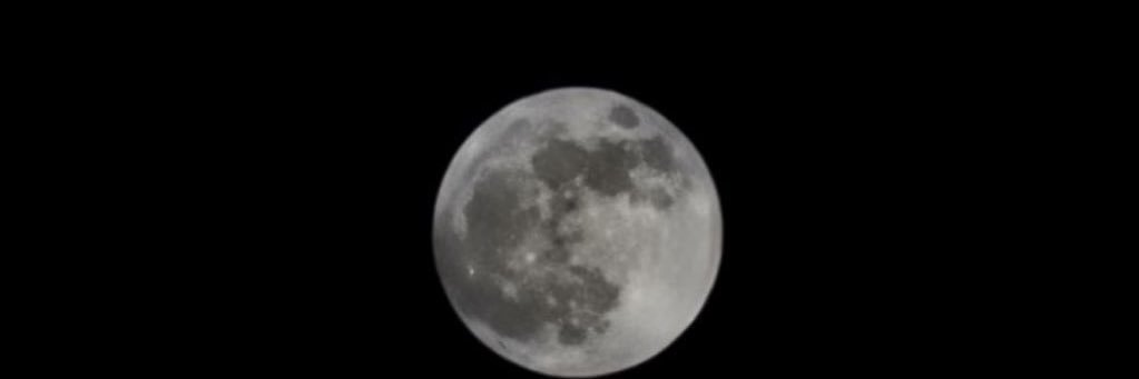 Nené Capellán banner