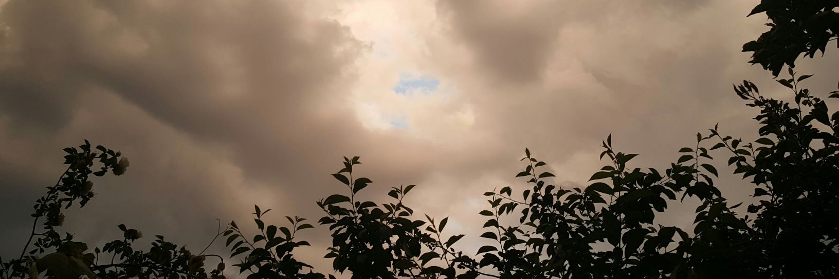 _thisisme99's profile banner image