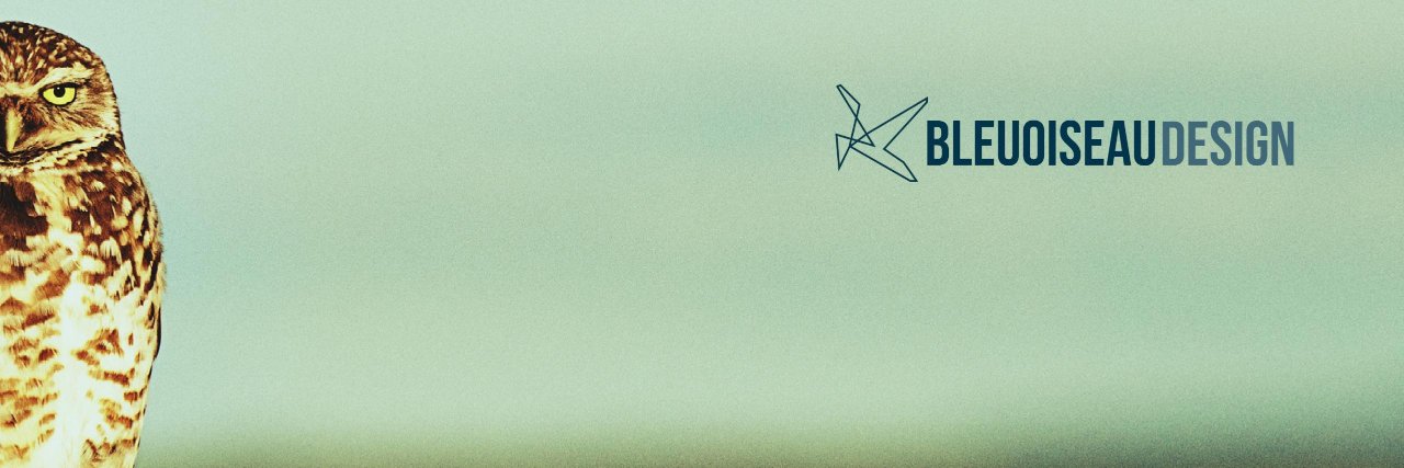 BleuOiseauPhoto's profile banner image