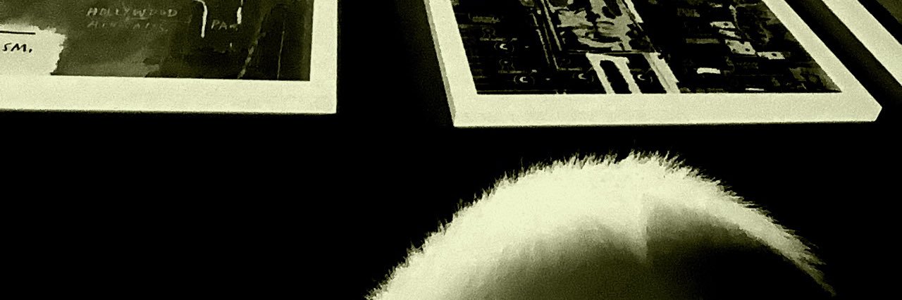 VancityPrince's profile banner image