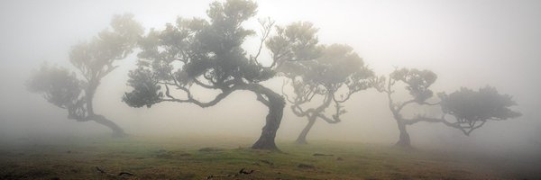 ZSharon Profile Banner